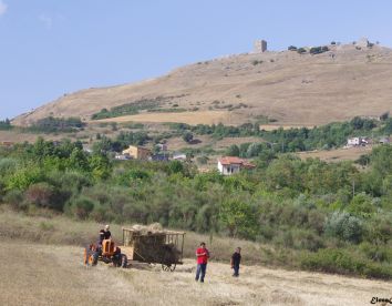 Agritourisme Fattoriabio  - Satriano Di Lucania
