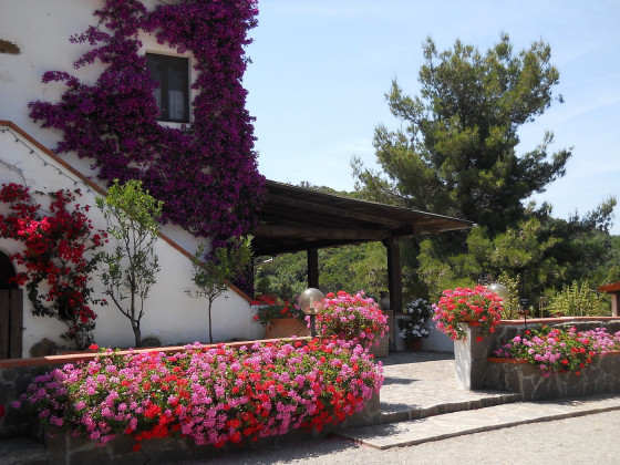 Tenuta il Fortino