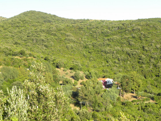 Tenuta il Fortino