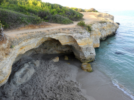 tenuta vigna corallo