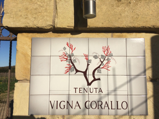 tenuta vigna corallo