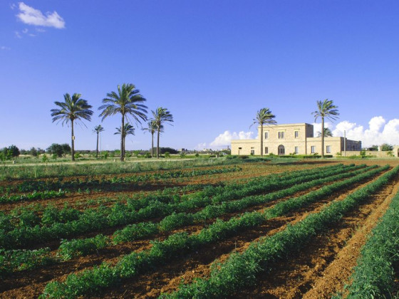 Masseria Galatea