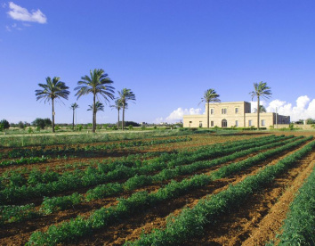 Masseria Galatea