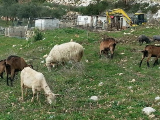 La Fattoria degli Artisti