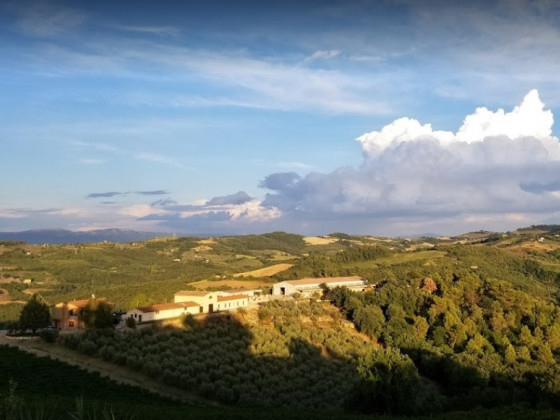 Fattoria di Monticello