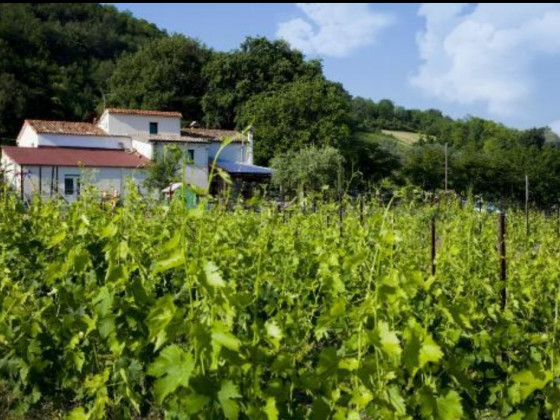 az. Vitivinicola Tenuta Carbognano