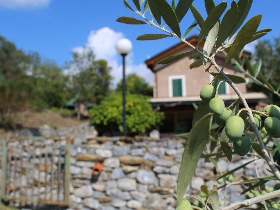 Il giardino del sole