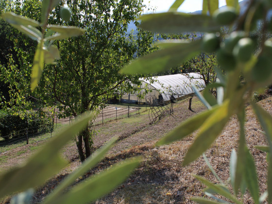 Il giardino del sole