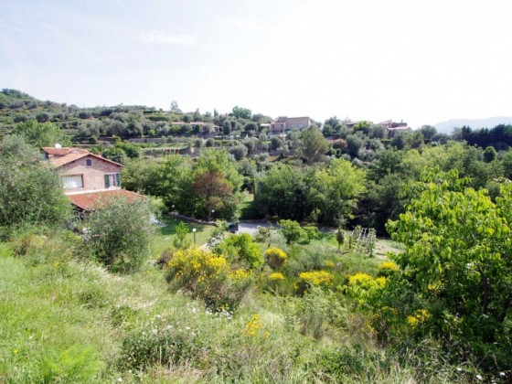 Il giardino del sole