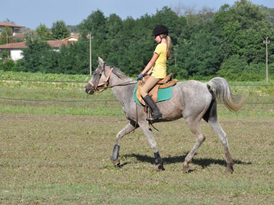 Fattoria Isola