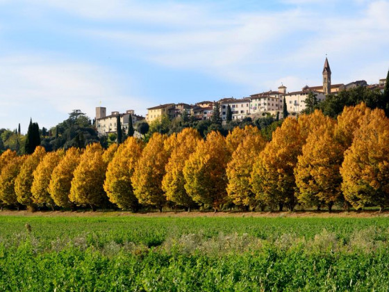 Fattoria Isola