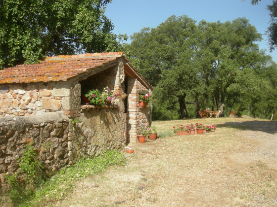 Poggio Macinaio