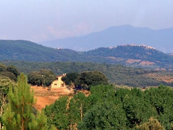 Poggio Macinaio