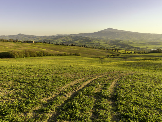 Lucciola Bella