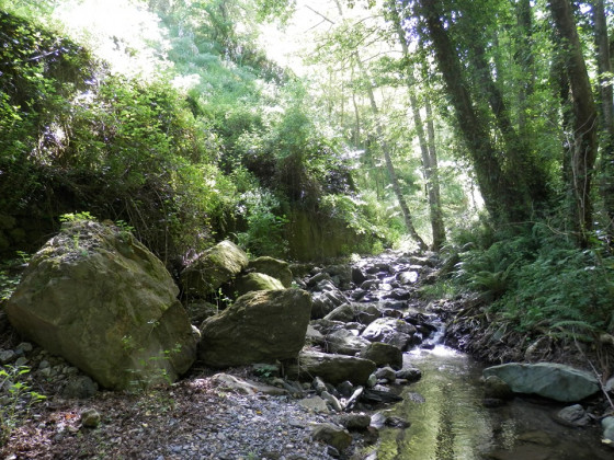 La Quercia Fondachelli Fantina