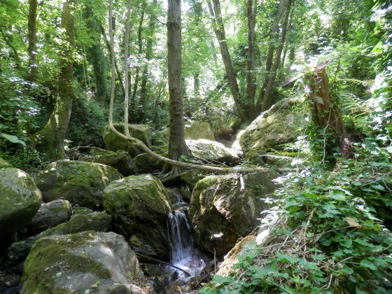 La Quercia Fondachelli Fantina