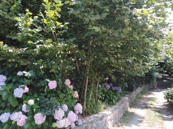 La Quercia Fondachelli Fantina