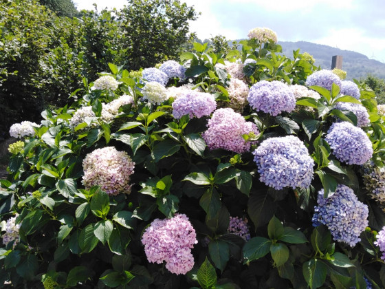 La Quercia Fondachelli Fantina