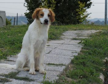 IL BALCONE SUL MONFERRATO