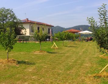 IL BALCONE SUL MONFERRATO