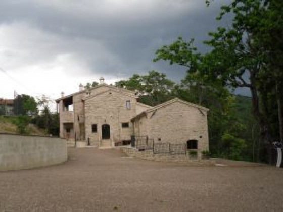 La collina degli ulivi