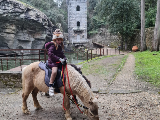 Fattoria di Maiano