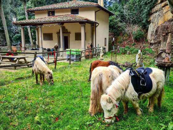 Fattoria di Maiano