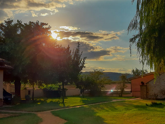 il giardino degli elfi