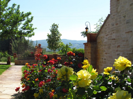 il giardino degli elfi