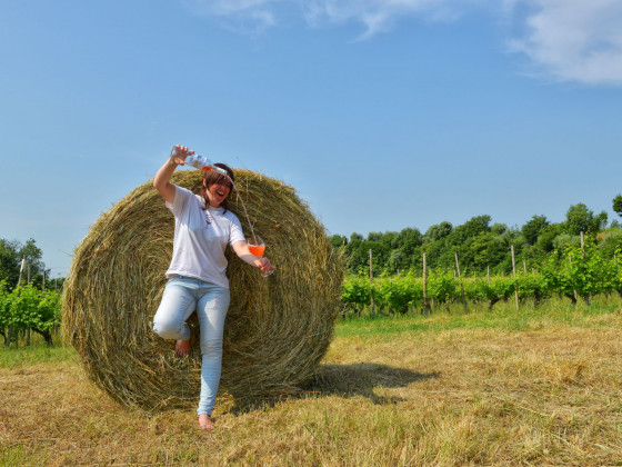 La Guarda (Agriturismo in Cantina)