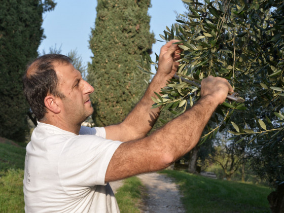 La Guarda (Agriturismo in Cantina)