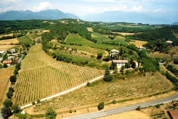 La Guarda (Agriturismo in Cantina)