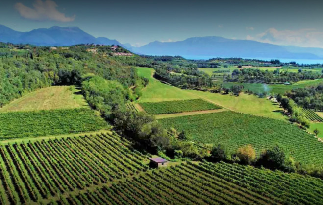 La Guarda (Agriturismo in Cantina)