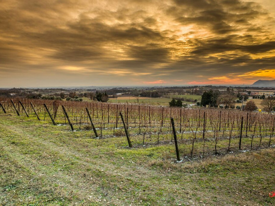 La Guarda (Agriturismo in Cantina)