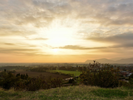 La Guarda (Agriturismo in Cantina)