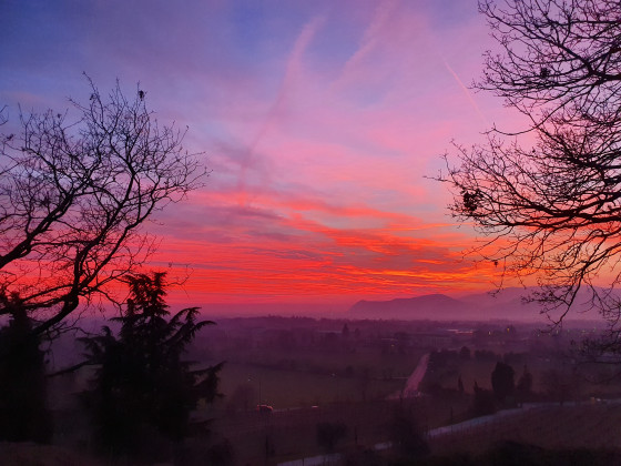 La Guarda (Agriturismo in Cantina)