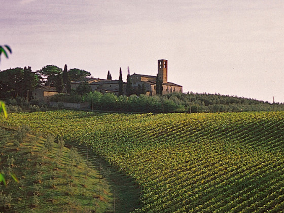 abbazia monte oliveto