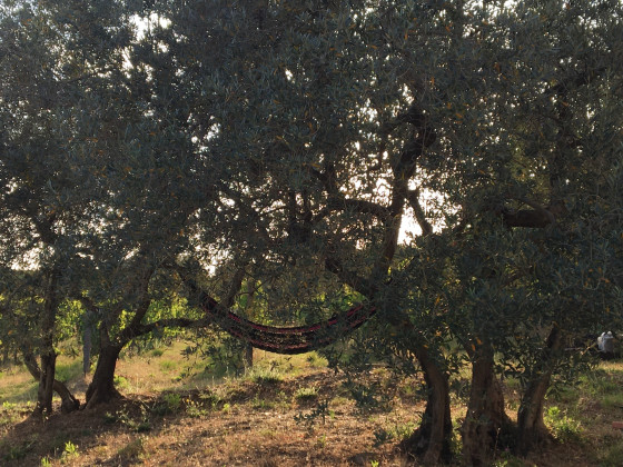 Podere Vecchia Commenda