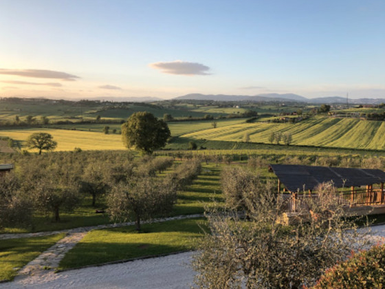 Tenuta dei Mori