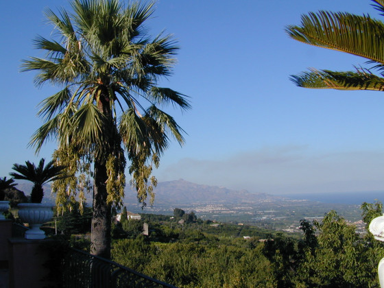 il ciliegio dell etna