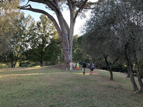 podere la piana