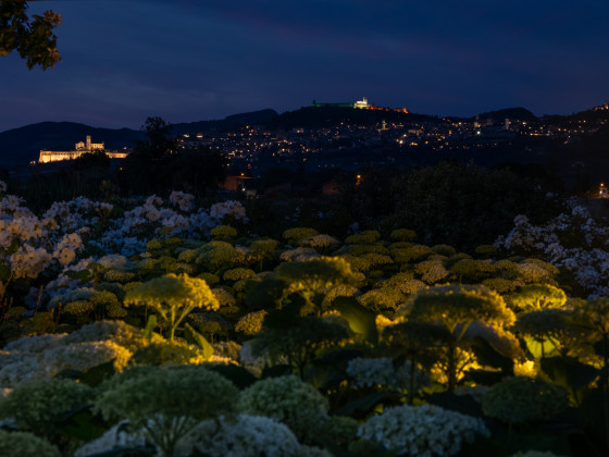 Il Fienile di Assisi