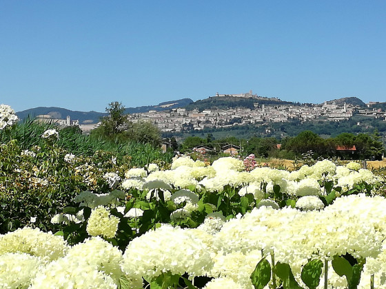 Il Fienile di Assisi