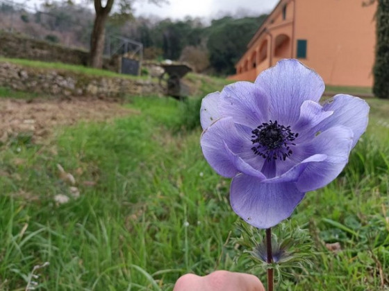 Agriturismo Regno di Toscana