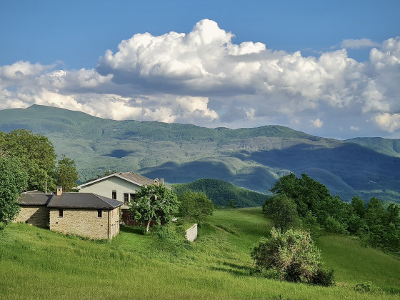 Il Noce d'Oro