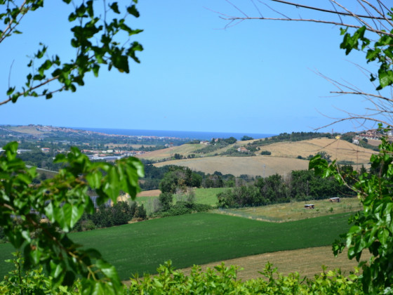 La casa in Collina