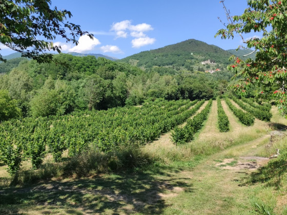 Di là dall'acqua 