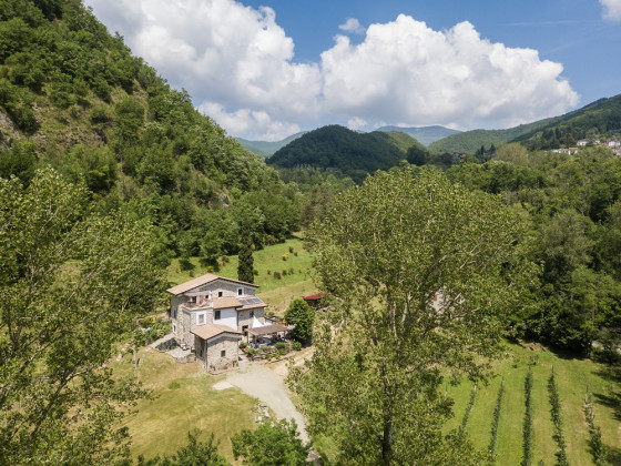 Di là dall'acqua 