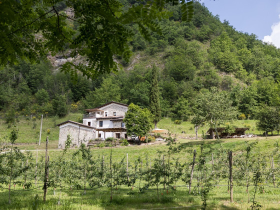 Di là dall'acqua 