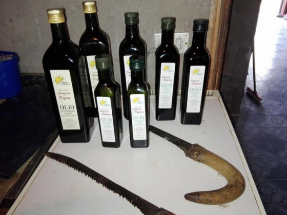 Fattoria di Rigone 